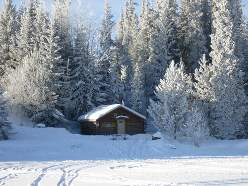 The Cottage in winter