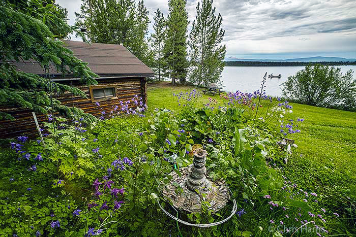 The Cottage in summer