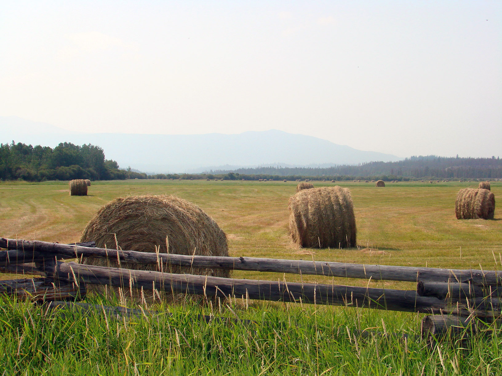 Ranch land in the Chilcotin